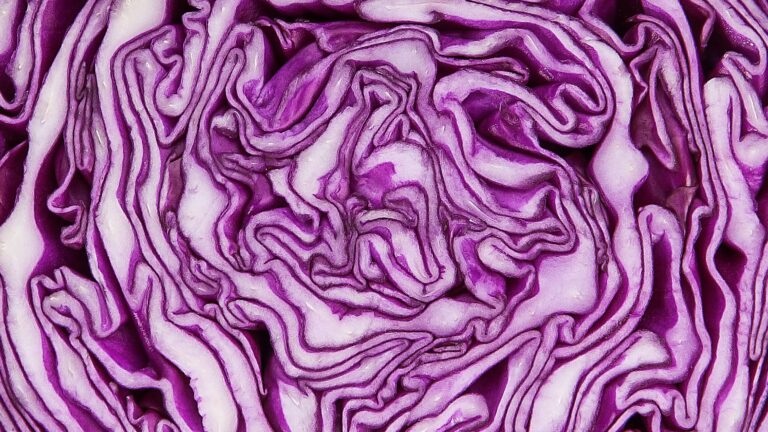 Pfannkuchen mal ganz anders, glutenfrei und voller Proteine